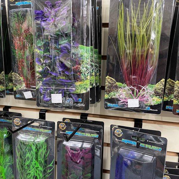 The Fish Guys